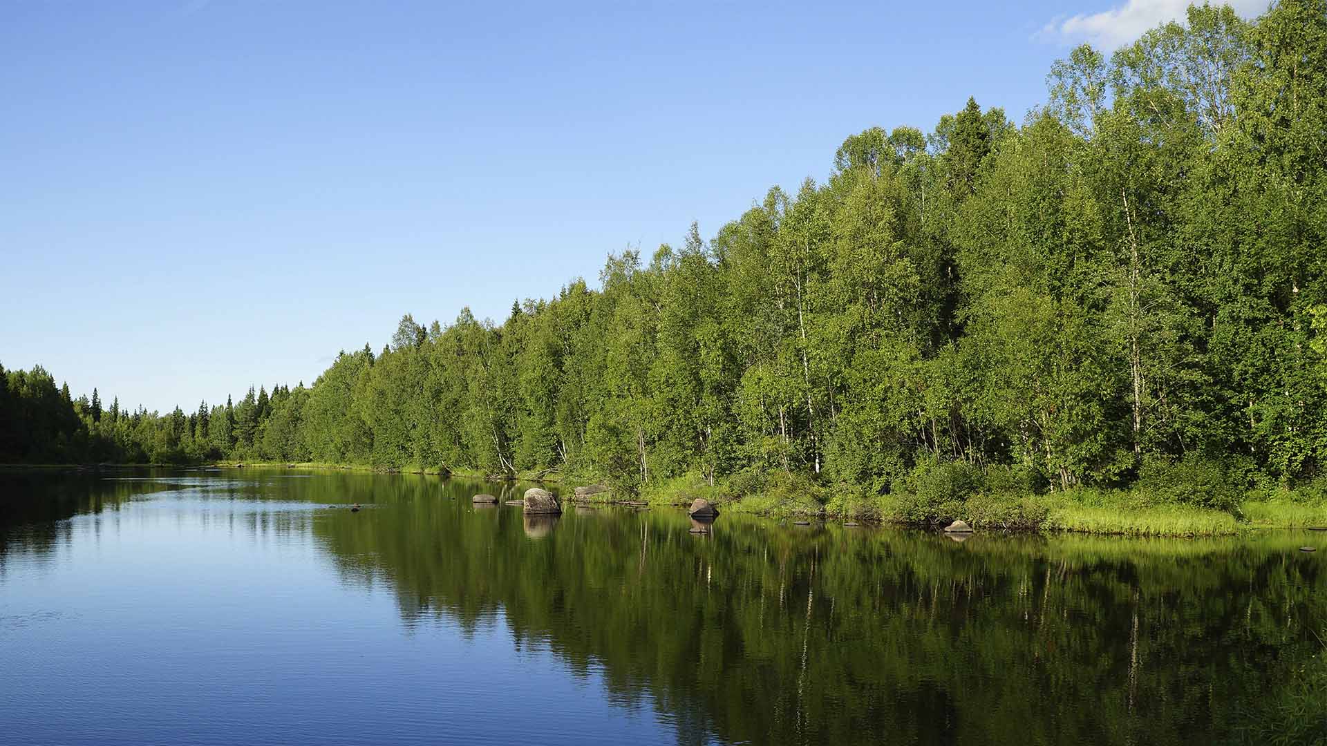 Sekametsä tyynen järven ympäröimänä.